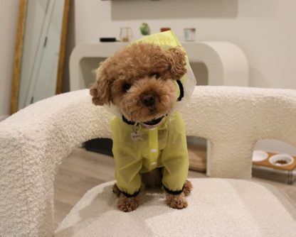 Cute puppy raincoat