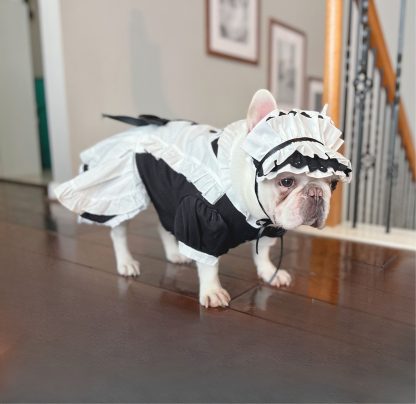 Pet maid lolita dress - Image 5