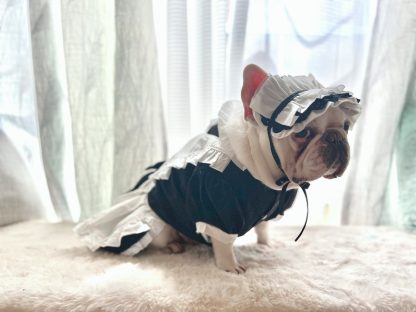 Pet maid lolita dress - Image 3
