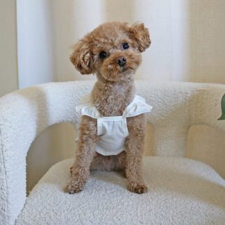 Pet princess style little white dress