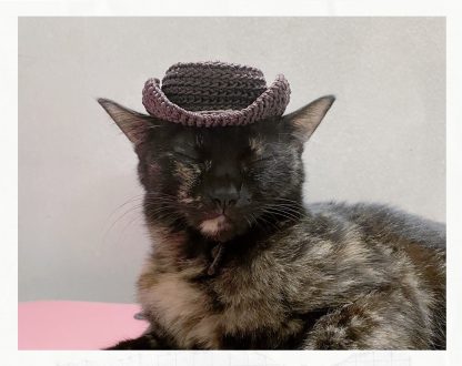 Cat with cowboy hat - Image 6