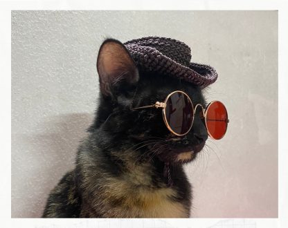 Cat with cowboy hat - Image 2