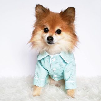 Pet mint green printed pajamas