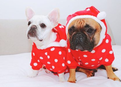 Dog Cat Christmas Polka Dot Hoodie - Image 4