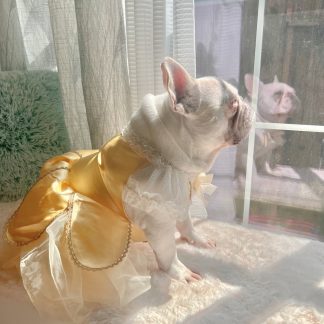 Pet dog cat princess dress