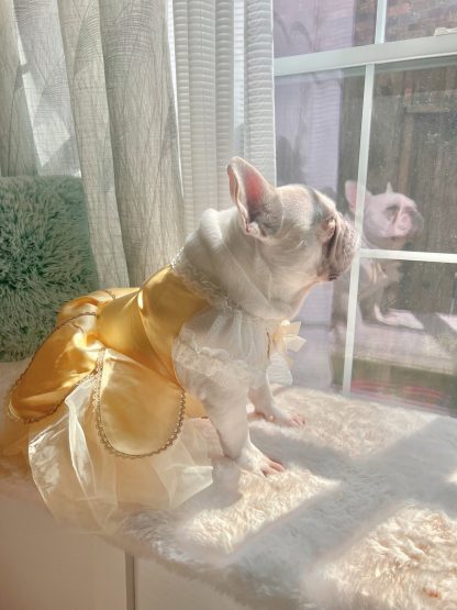 Pet dog cat princess dress
