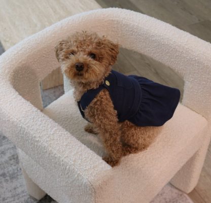 Denim shoulder jacket for small dogs - Image 4