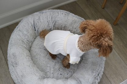 Pet Lace Ruffle Short Sleeve Dress - Image 2