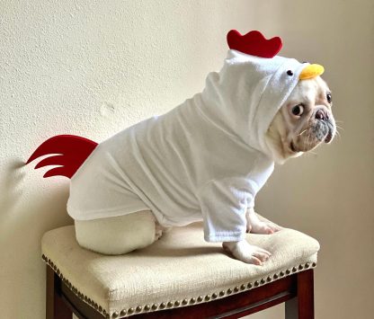 Dog Cat Pet Rooster Hoodie