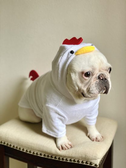 Dog Cat Pet Rooster Hoodie - Image 5