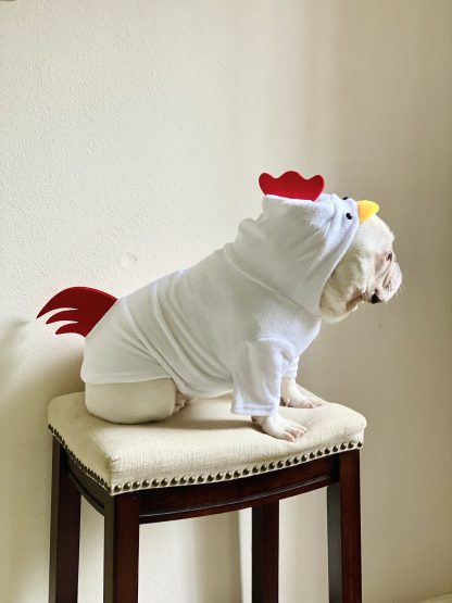 Dog Cat Pet Rooster Hoodie - Image 3