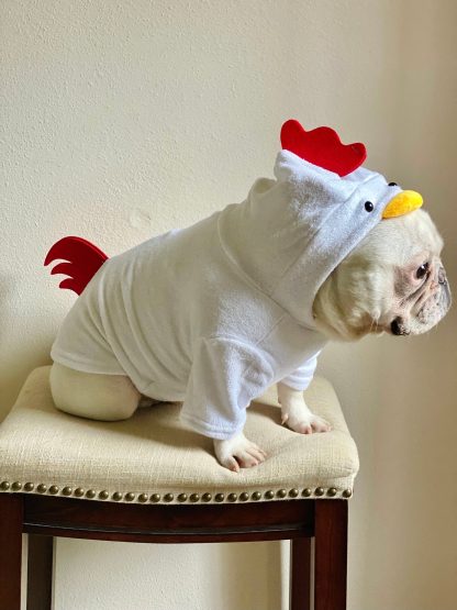Dog Cat Pet Rooster Hoodie - Image 2