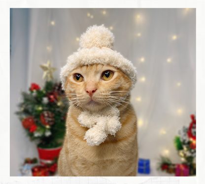 Christmas Cat Hat - Image 4