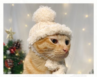 Christmas Cat Hat - Image 3