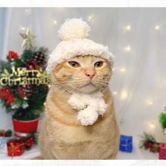 Christmas Cat Hat