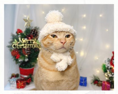 Christmas Cat Hat