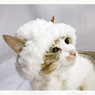 Cat bucket hat