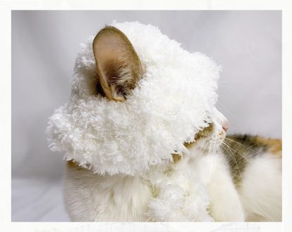 Cat bucket hat - Image 2