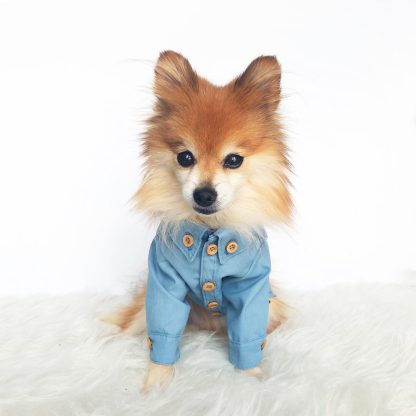 Pet Denim Shirt