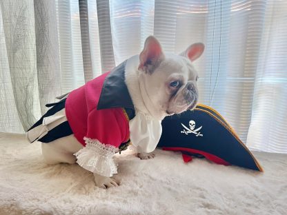 Pirate Dog Cat Pet Halloween Costume - Image 5