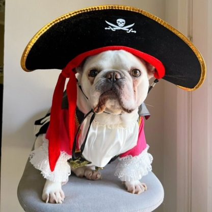 Pirate Dog Cat Pet Halloween Costume - Image 3