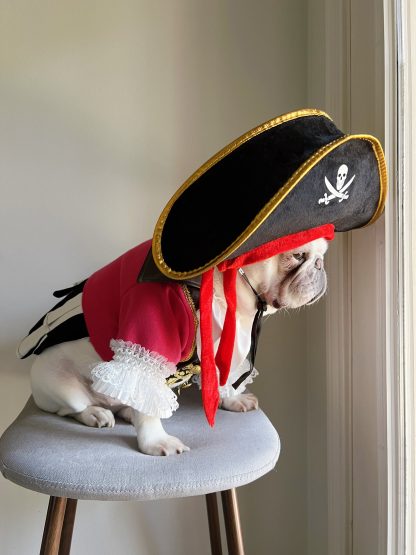 Pirate Dog Cat Pet Halloween Costume - Image 2