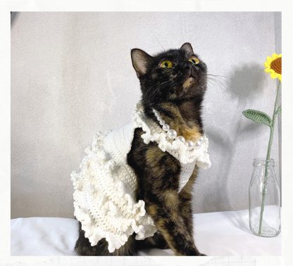 Cat Wedding Dress