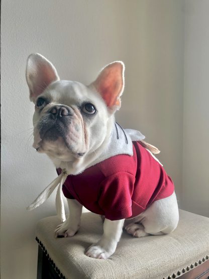 Pet Holiday Christmas Costumes - Image 3