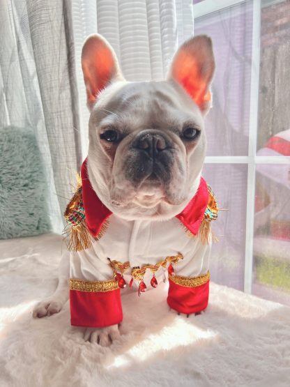 King of Rock Pet Costume