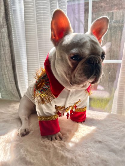 King of Rock Pet Costume - Image 4