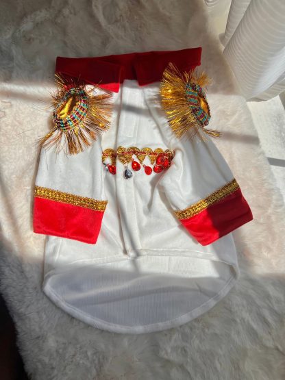 King of Rock Pet Costume - Image 2