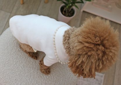 Pet Crew Neck Cotton T-Shirt - Image 5