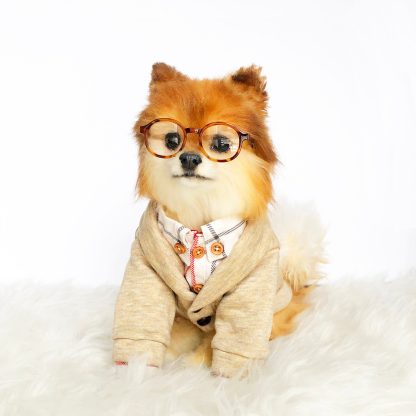 Pet hooded jacket - Image 5