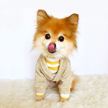 Pet hooded jacket