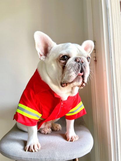 Pet Firefighter Costume - Image 2