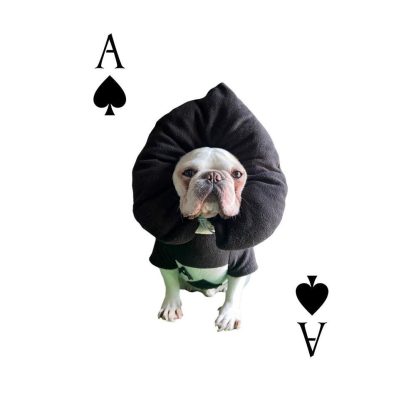 Ace of Spades Puppy Pet Costume - Image 4