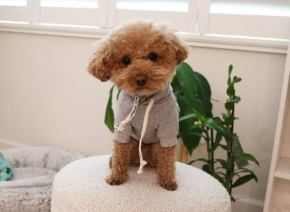 Pet hooded sweatshirt - Image 4