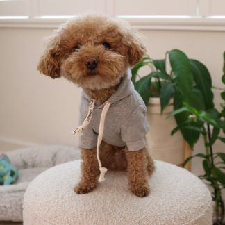Pet hooded sweatshirt