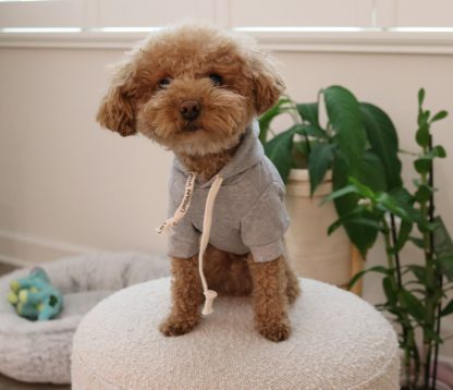 Pet hooded sweatshirt