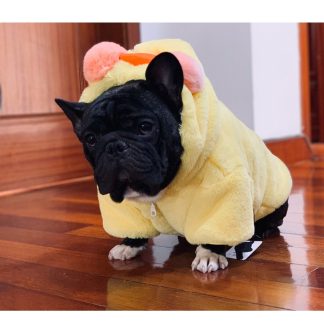 Pet Yellow Duck Costume