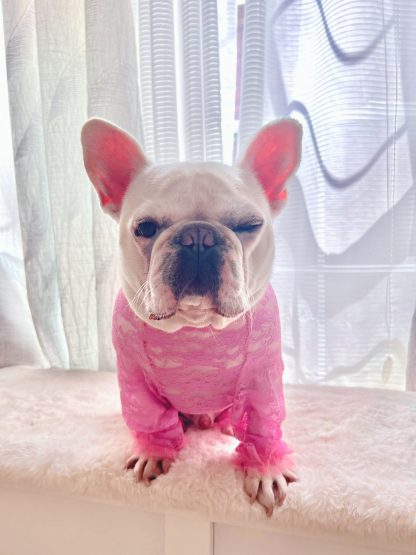 Pet pink lace jumpsuit - Image 4
