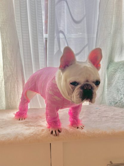 Pet pink lace jumpsuit - Image 3