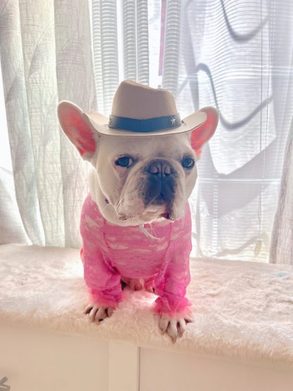 Pet pink lace jumpsuit
