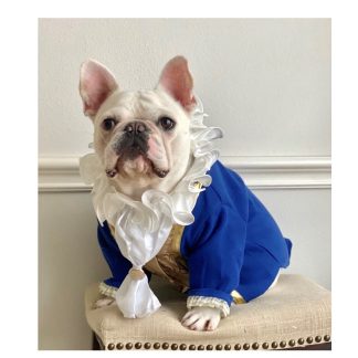 Pet Ball Dresses