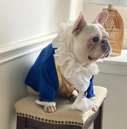 Pet Ball Dresses - Image 4