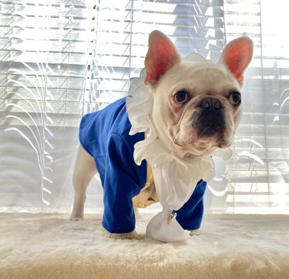Pet Ball Dresses - Image 3
