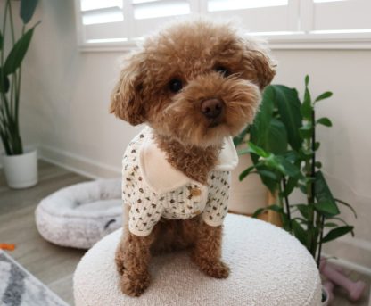 Cute Chanel style pet sweater - Image 6