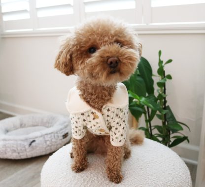 Cute Chanel style pet sweater