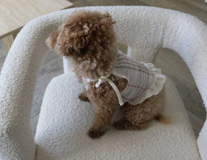 Cute Dog Suspender Skirt - Image 5