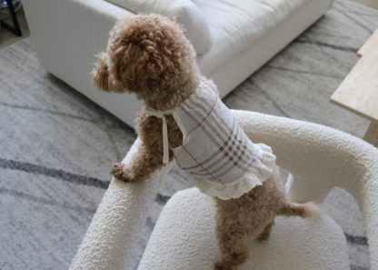 Cute Dog Suspender Skirt - Image 2